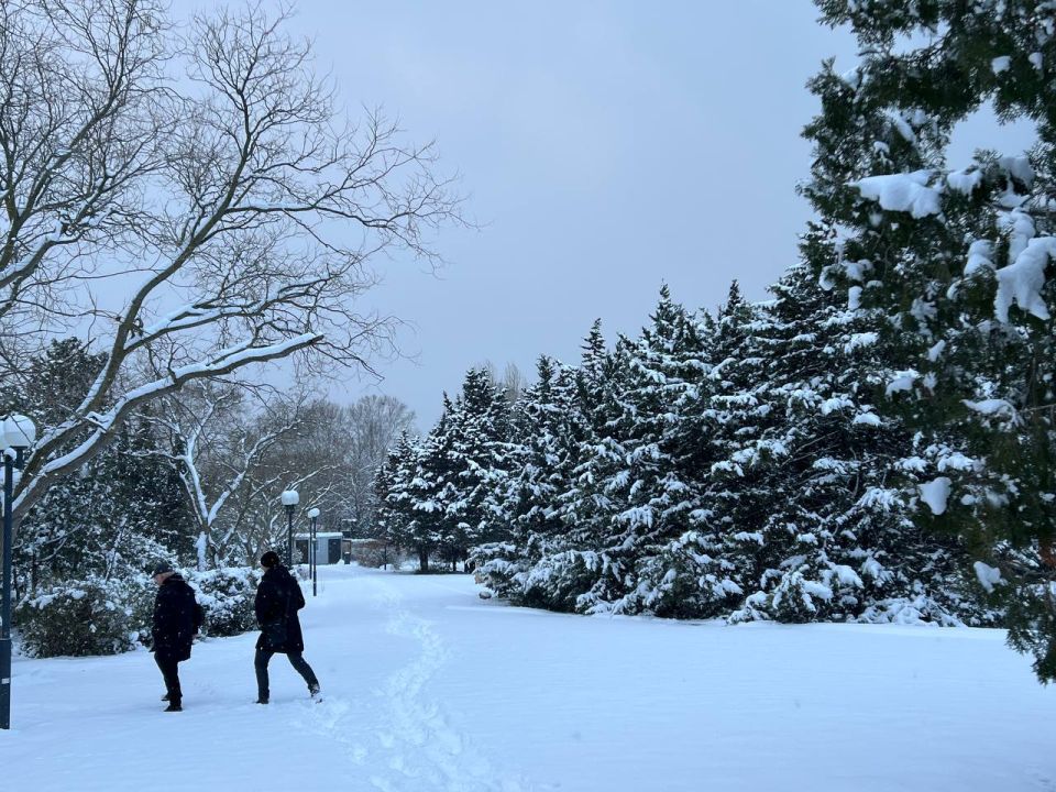 ������ ����, ������!. � ����������� 3 ������ ���� ��������� �����