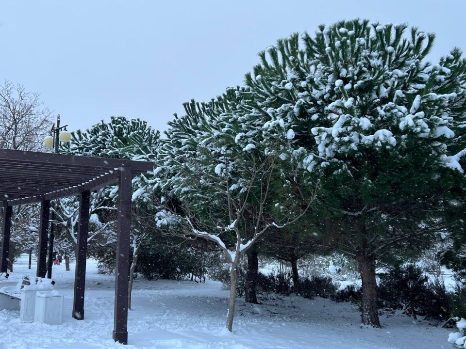 ������ ����, ������!. � ����������� 3 ������ ���� ��������� �����