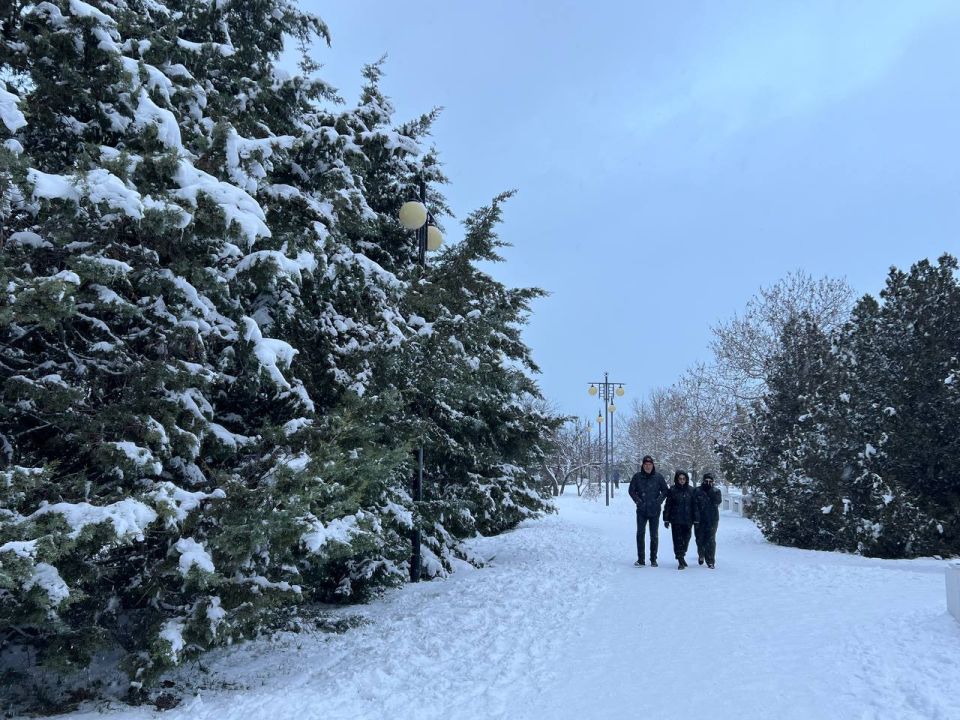 ������ ����, ������!. � ����������� 3 ������ ���� ��������� �����