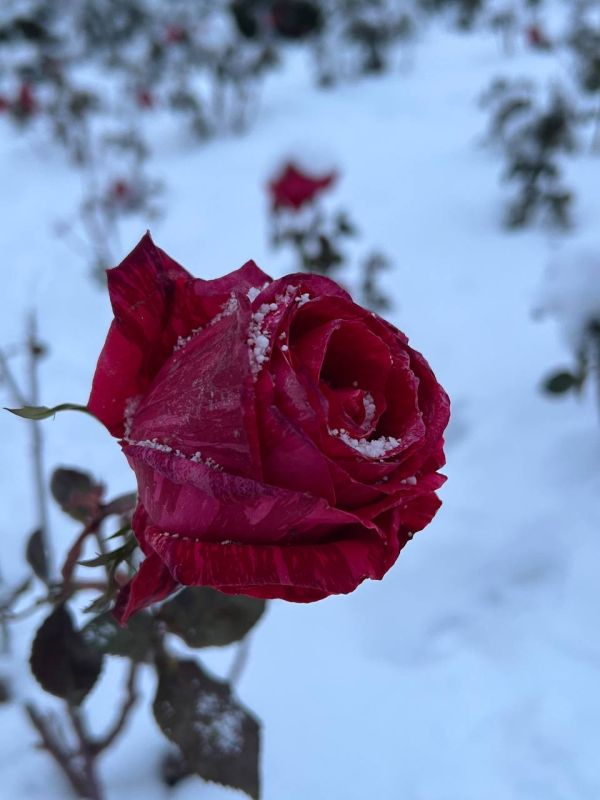 ������ ����, ������!. � ����������� 3 ������ ���� ��������� �����