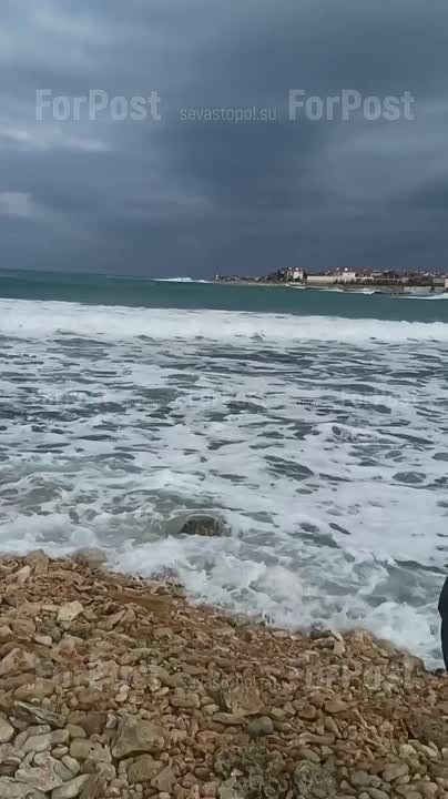 ���� ������ � ����������� �����������, � ��������� ������� ����� � ��������� �����