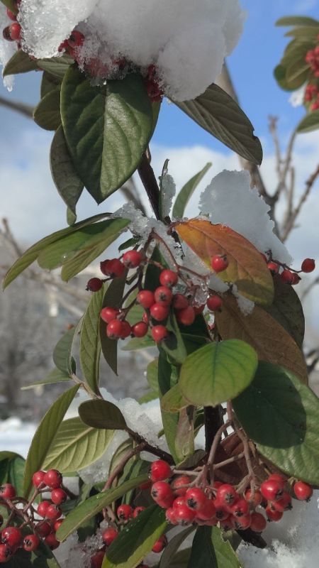 � ������ �����, ������!. �����, ���� �����