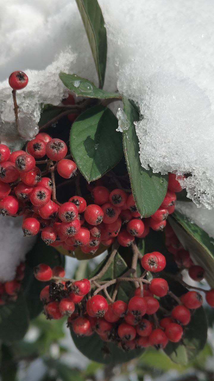 С добрым утром, друзья!. Ночью, днем дождь С добрым утром, друзья!. Ночью, днем дождь