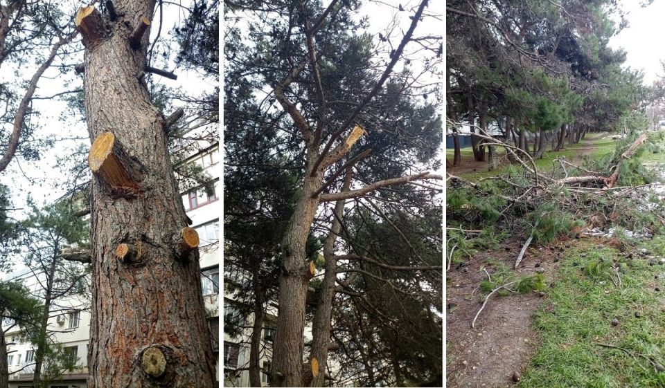 ����������� ��������� �������� ����� ����� � ���������� � ������ ��������� �������� ���������, 221, �������� �������