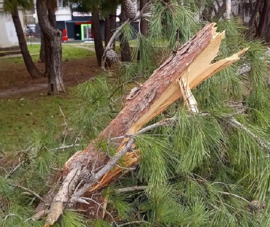 ����������� ��������� �������� ����� ����� � ���������� � ������ ��������� �������� ���������, 221, �������� �������