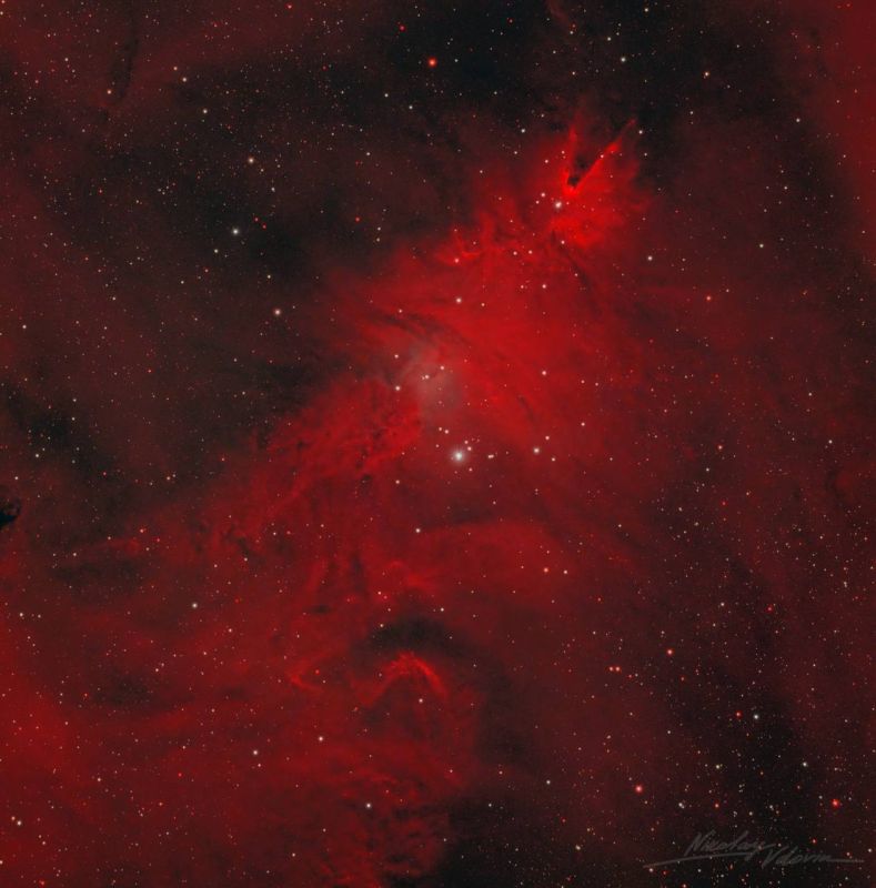 ���������� ������������� ���������� ���������� ��������������� ����