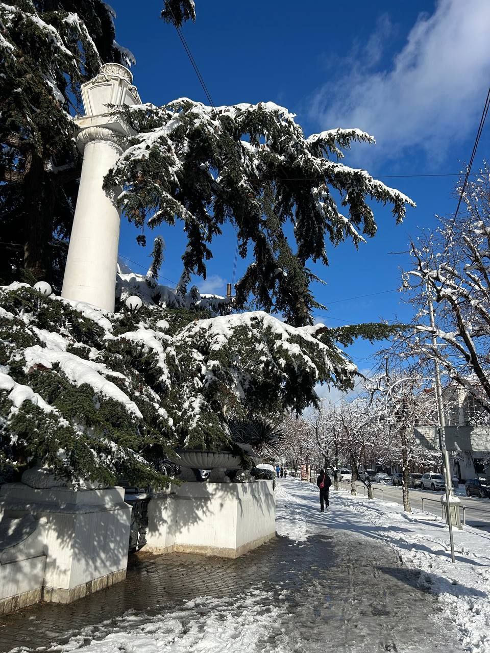 От снежного Севастополя остались только воспоминания ... и шедевральные снимки От снежного Севастополя остались только воспоминания ... и шедевральные снимки
