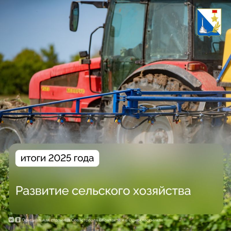 �������� ��������� ����������� � 2025 ���� �������� ������������ ����