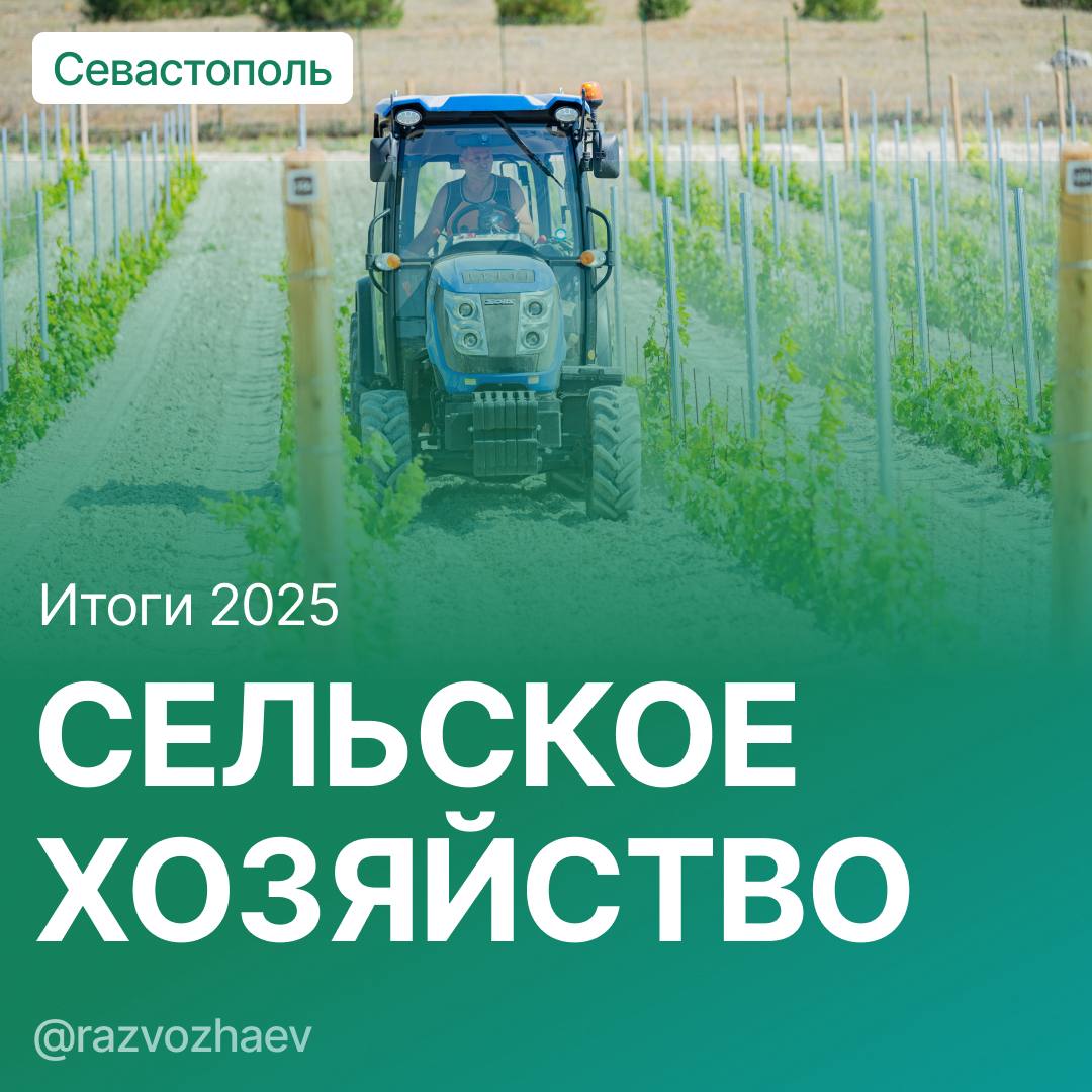 Михаил Развожаев: Итоги 2025 года в сельском хозяйстве Севастополя