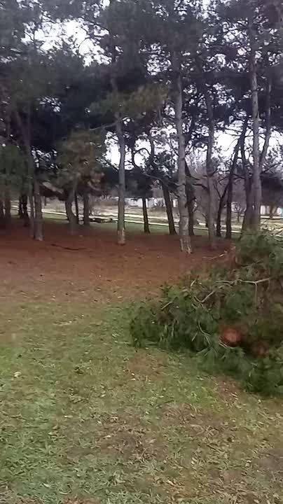 #���_�����. � ������ 200-����� �����������, ��� ����� ��. �������� �������� � ��. ������, ��������� ����������� �����: ���������� ��������������� ����� ������� � ����� ����� ���������� �� ����� ������