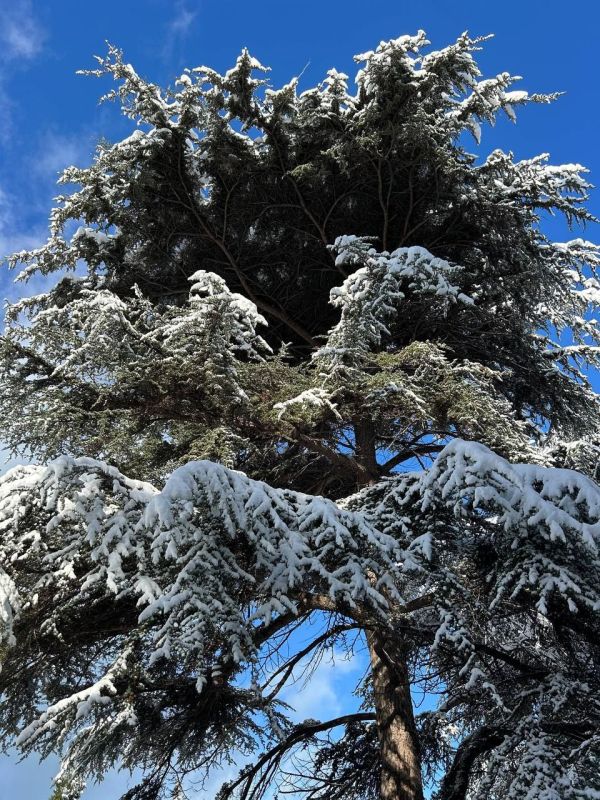 �� �������� ����������� �������� ������ ������������ ... � ������������ ������