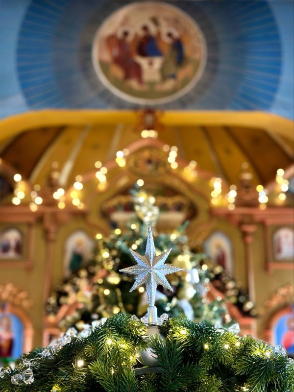 �������� ������: ������� �� �������� �������� ��������� ��������