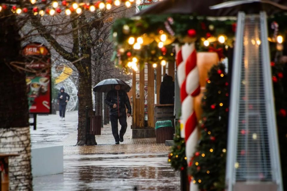 ������� ������ � ����� �� �������