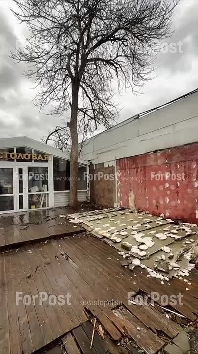 #���_�����. �� ���������� ���������� ������������� ������� �����������