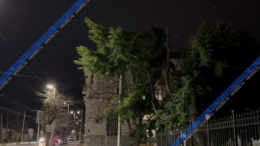 ������ ������ �� ��������� ����������� ������� �������