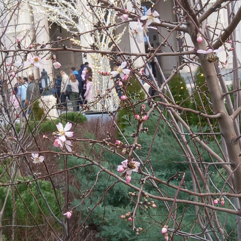 ������� ���������� ����!. � ����������� �����, ���� ��������� ������ (�����, ������ ����, ������� �����)