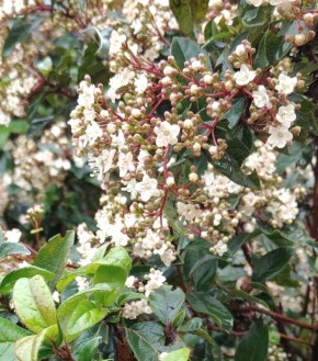 � ������ ��������� �����. ���� � ����������� �����