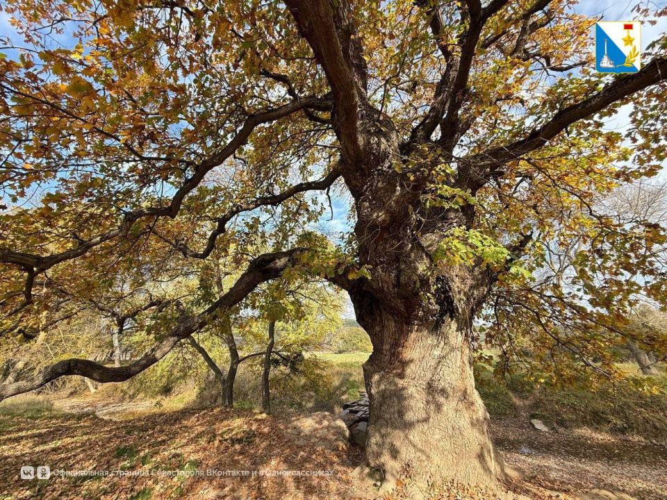 ������� � ������������� ���� ������������ � ������������ ������