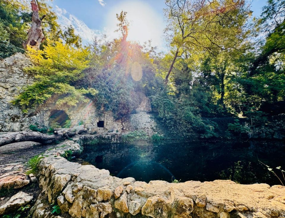 ������ ���������: ������� � ������������� ���� ������������ � ������������ ������