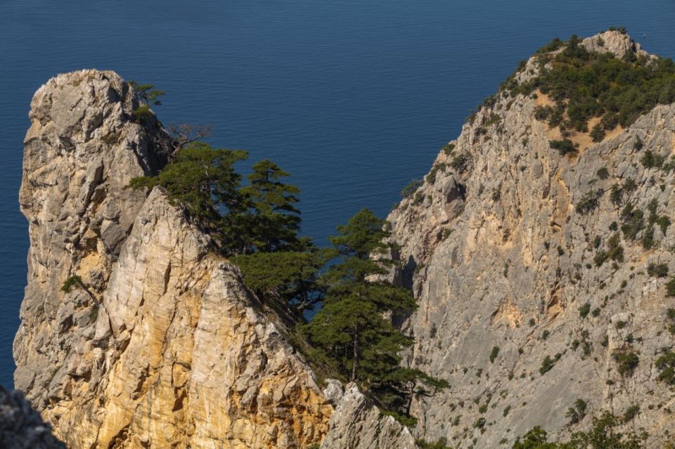 11 ������ � ������������� ���� ������������ � ������������ ������