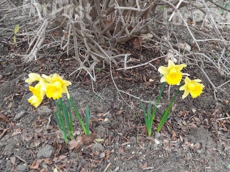 �������� � ����� ������, 10 ������