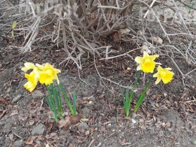 �������� � ����� ������, 10 ������