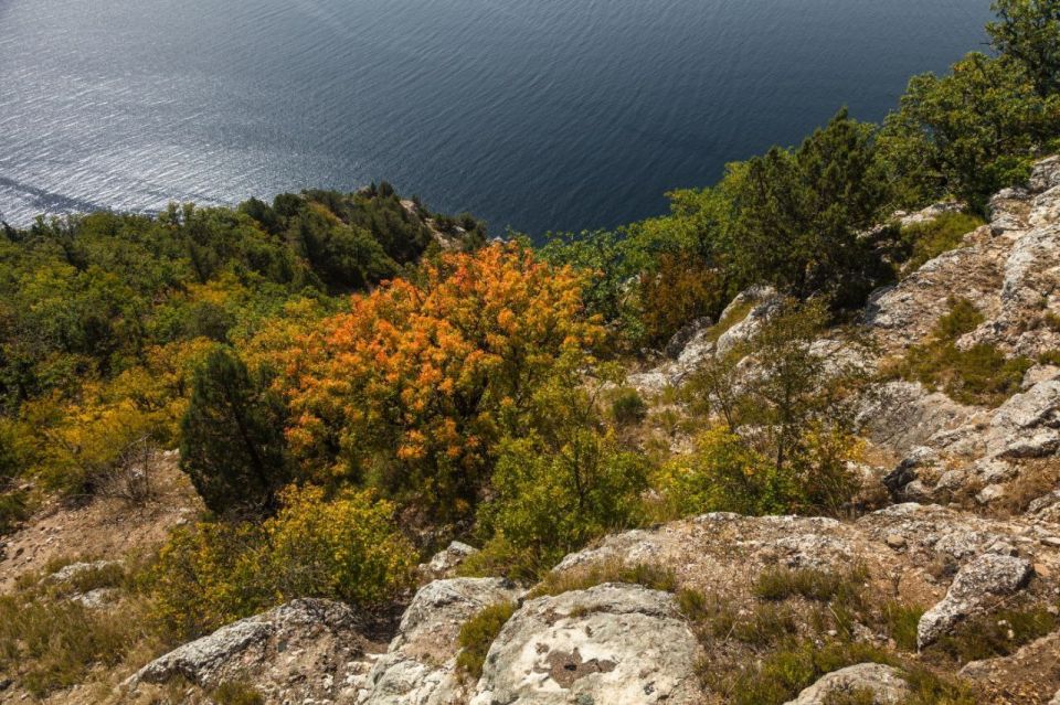 11 ������ � ������������� ���� ������������ � ������������ ������