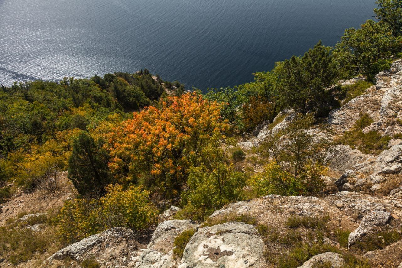 11 января – Всероссийский день заповедников и национальных парков 11 января – Всероссийский день заповедников и национальных парков
