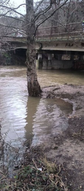 ����������� ������������� ������������ ������� ���� � ����� �����������