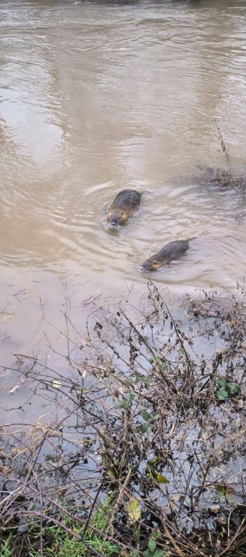 ������� ���� � ����� ����������� ��� �������������� ���������