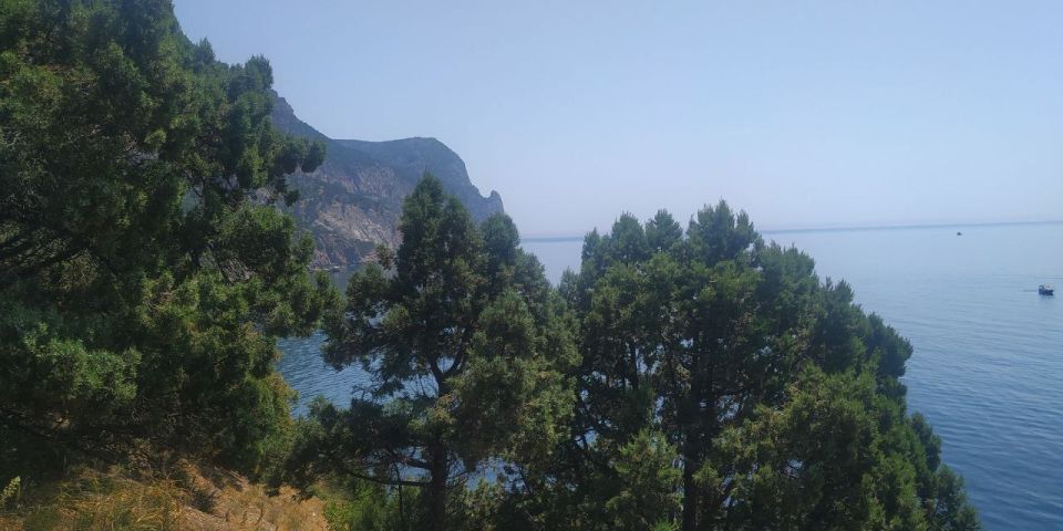 11 ������ � ������������� ���� ������������ � ������������ ������