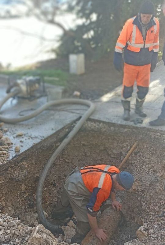 ���������: ������� �������. ���������� ������ �� ��. ��������