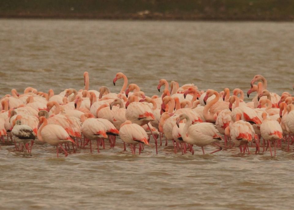 ���� �� 150 �������� ��������� � ���� �������� �� �����