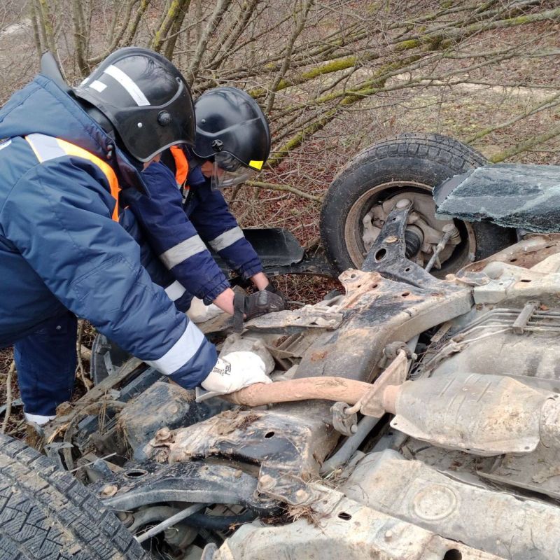 ������ ���������: ������������ ������ ����������� ������������� 95 ������������ �� ���������� �������� � ������� 24 ��������