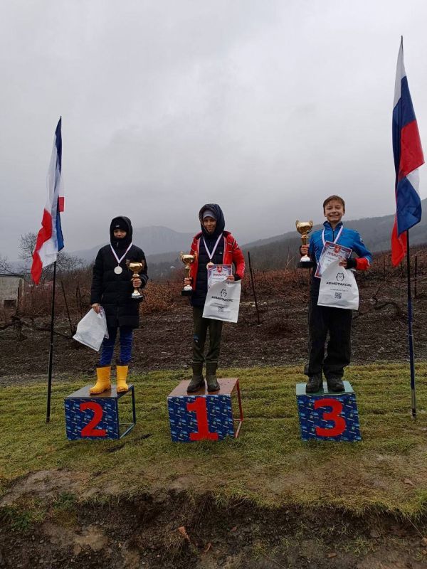 ������ ���������: ������ ������ � ����� ���� ��������������� ����������� �� ������������� �������������