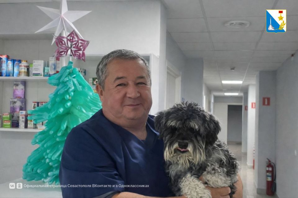 � ���������� ��������� ������������� ����������� ������� 80 �������� ��������