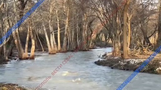 Так сейчас выглядит река Чёрная