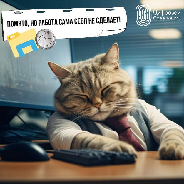 ����������� ��� �����������, �� �������� �����������!