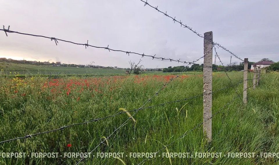 � ����� � ����������� ������ ������� ����������� ������������