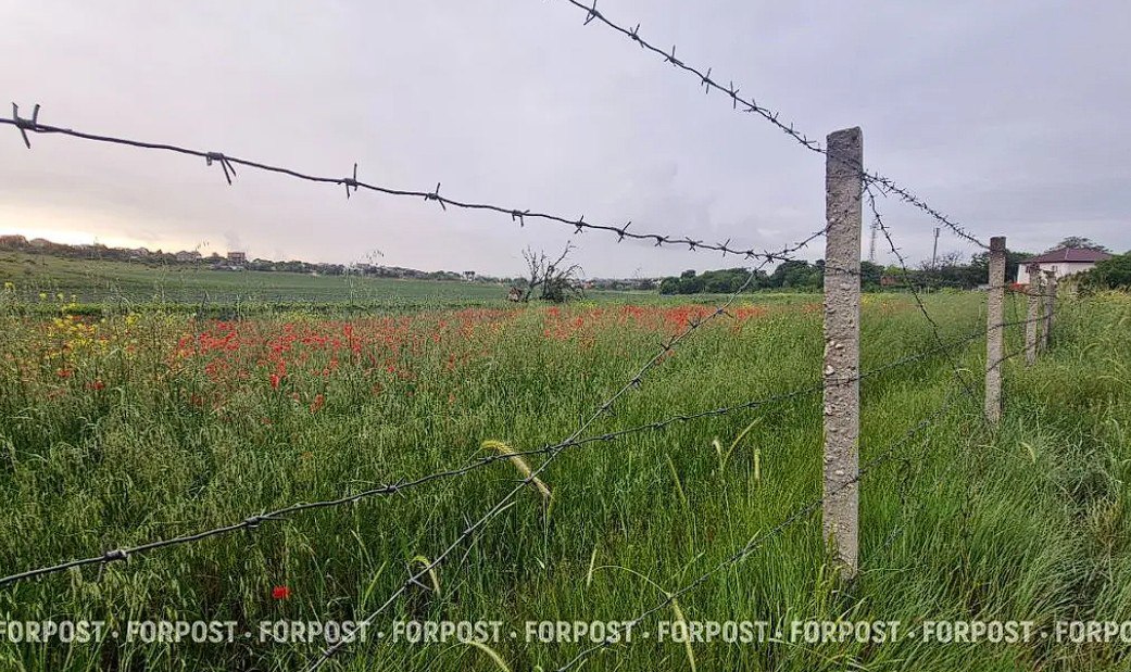 В Крыму и Севастополе начали изымать заброшенные сельхозземли