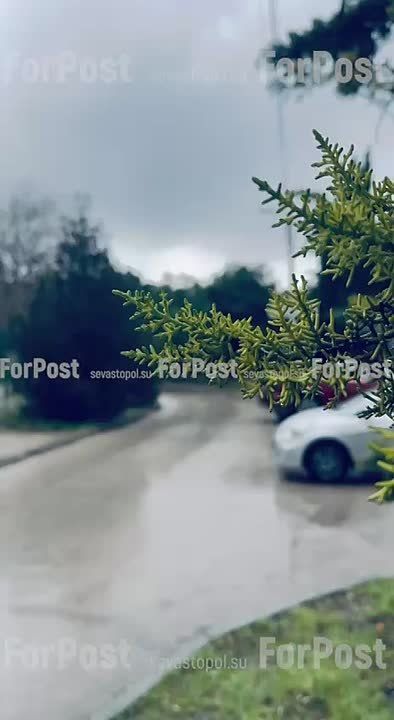 � ����������� ������������ ����