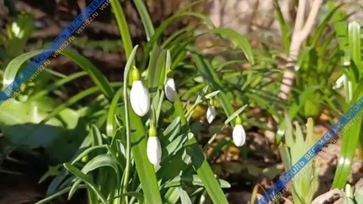 �������� �� �������� ��������� ������������ � �����������