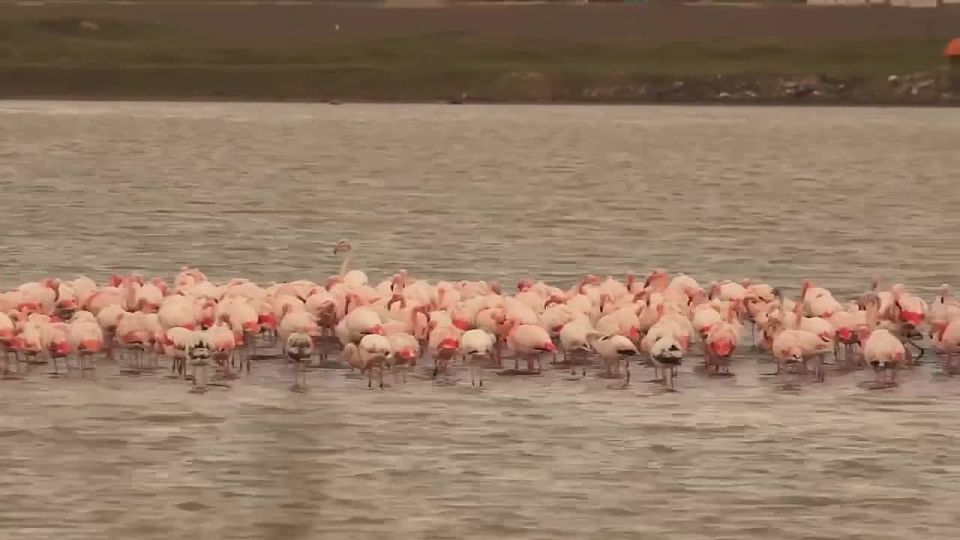 ������� �������: � ����� �������� ������� ���� ��������