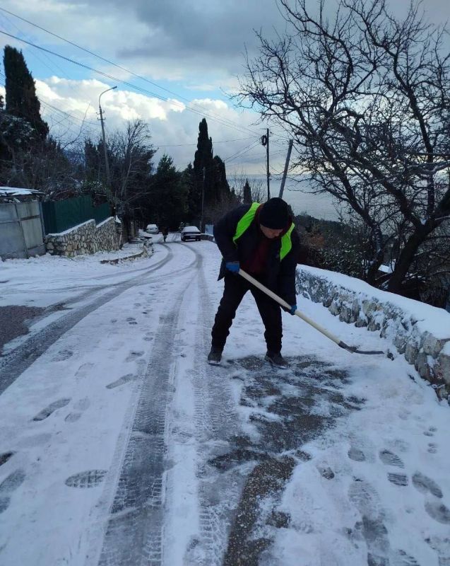 � ���� ����������� ����������� �������� ���������