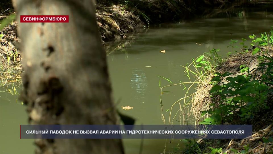 ������� ������� �� ����� � ������� �� ���������������� ����������� �����������