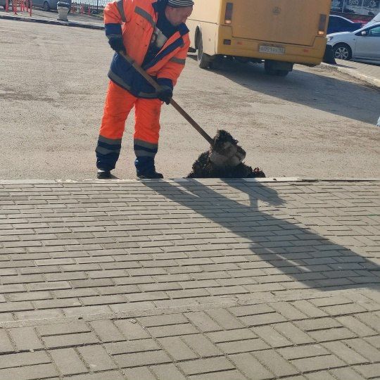 #���_�����. ������� �������� ������� ��������� ������