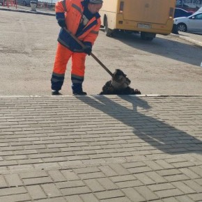 #���_�����. ������� �������� ������� ��������� ������