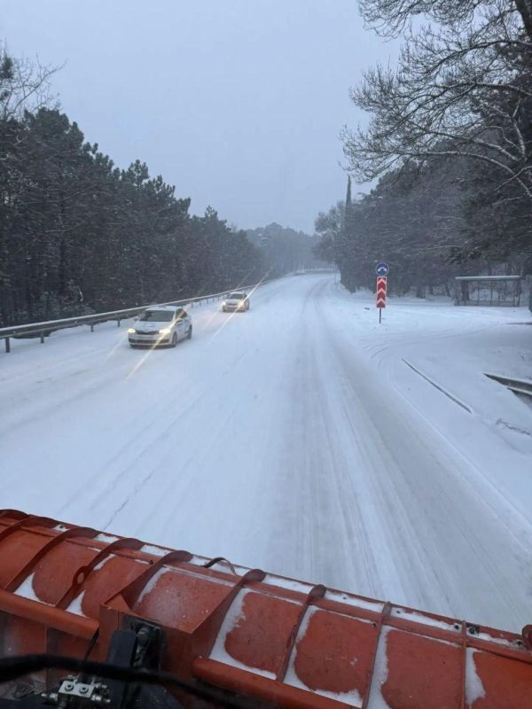 ������ ���� � ����������� ��������� �� ����� � �����������