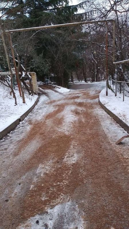 � ���� ����������� ����������� �������� ���������