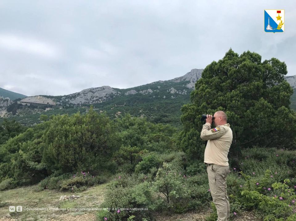 ��������������� ���� �������� ������� �������������